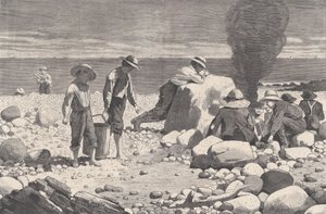海边的素描--蛤蜊的烘烤 哈珀周刊，第十七卷，1873年8月23日。   作者 威廉·H·雷丁