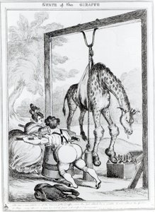长颈鹿的状态，1829年 作者 威廉·希思