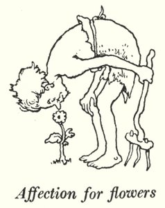 对花的感情（平版 作者 威廉·希思·罗宾逊