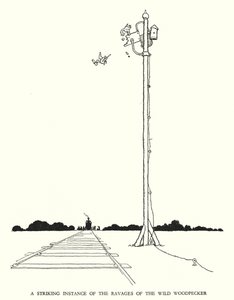 罗宾逊（W Heath Robinson）为《铁道兵》绘制的插图（平版）。 作者 威廉·希思·罗宾逊
