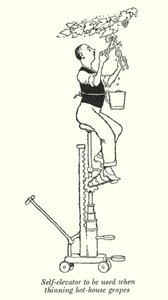 Self-elevator to be used when thinning hot-house grapes (litho) 作者 威廉·希思·罗宾逊