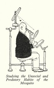 研究蚊子的非社会性和掠食性习性（石版画） 作者 威廉·希思·罗宾逊