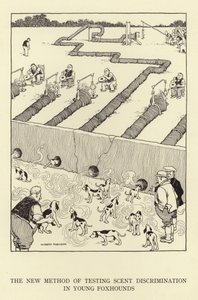 测试年轻猎狐犬气味歧视的新方法 作者 威廉·希思·罗宾逊