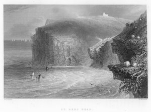 St Bees Head 作者 威廉·亨利·巴特利特