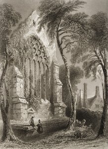 爱尔兰科克郡的Youghal Abbey，来自George Virtue的“爱尔兰的风景和古物”，1860年代 作者 威廉·亨利·巴特利特