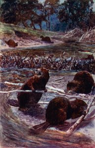 "They build a dam across the stream" (colour litho) 作者 威廉·亨利·查尔斯·格鲁姆