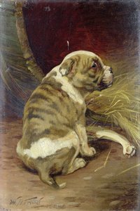 给狗骨，1888（董事会）