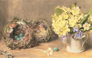 春花鸟巢，c.1830（纸本水彩画和彩绘） 作者 威廉·亨利·亨特