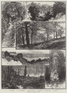 Highgate Woods的草图 作者 William Henry James Boot