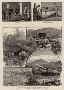 印度南部的Wynaad Gold Fields 作者 威廉·亨利·詹姆斯船