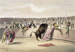 公牛跨越障碍，1865年 作者 威廉·亨利·莱克·普莱斯