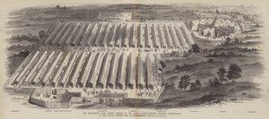 1847年7月20日，21日，22日在北安普顿举行的年会上，英国皇家农业协会的实施和牛展