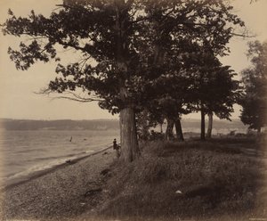 卡尤加湖，谢尔德拉克，约 1895 年（照片1895 年（照片） 作者 威廉·赫尔曼·劳