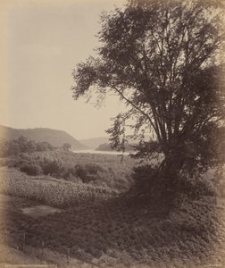 风景如画的苏珊娜，莱西维尔附近，约 1895 年（照片） 作者 威廉·赫尔曼·劳