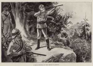 一天在阿尔巴尼亚海岸拍摄 作者 William Heysham Overend