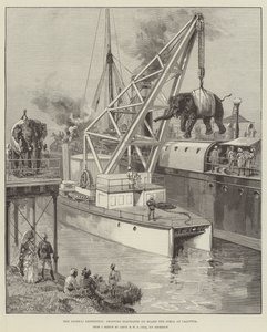 Looshai Expedition，在加尔各答的Simla上运送大象