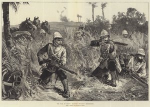 埃及战争，步兵小冲突 作者 威廉·海沙姆·奥弗兰德
