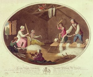 1791年（爱尔兰亚麻制品厂）第四版（亚洲彩色光刻）的亚麻甲虫，剔除和黑客攻击的常用方法