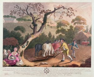 观点的犁，播种亚麻籽和耙，1791年