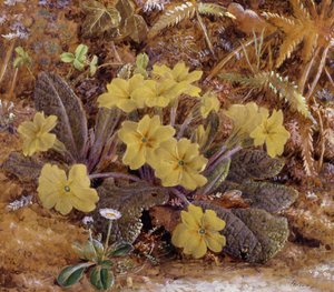 珍贵藏品威廉-霍夫（1819-1897 年）绘画作品珍贵收藏。 作者 威廉·霍夫