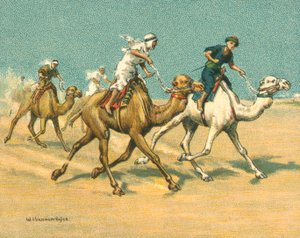 历史上和现代的比赛，骆驼比赛（chromolitho）。