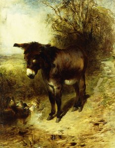布朗研究，1853年 作者 威廉·哈金斯