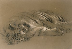 沉睡的老虎，1876年（铅笔和粉笔在纸上）