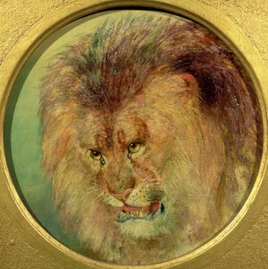 研究狮子 作者 威廉·哈金斯