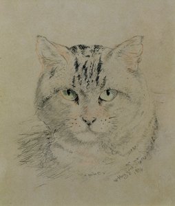 虎斑猫，1874年（纸上铅笔，蜡笔和木炭）