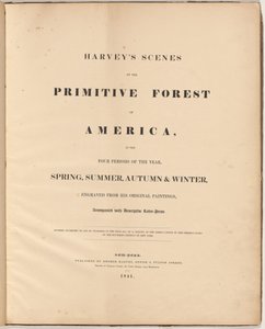 哈维的《原始森林的风景》（Scenes of the Primitive Forest）。 作者 威廉·詹姆斯·贝内特（William James Bennett），模仿乔治·哈维