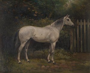 泡菜：一匹巴苏托小马，约 1904 年（布面油画） 作者 威廉·乔赛亚·雷德沃斯