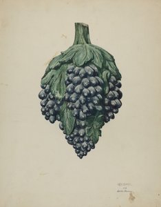 葡萄酒商店徽章，约1940年。 作者 威廉·基克霍费尔