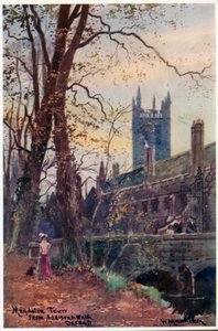 来自Addison&39;s Walk的Magdalen Tower 作者 威廉·马蒂森