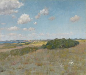 Sunlight and Shadow, Shinnecock Hills 作者 威廉·梅里特·蔡斯