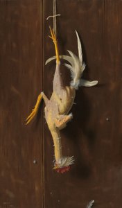 Plucked Clean，1882年。 作者 威廉·迈克尔·哈内特