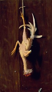 Plucked Clean，1882 作者 威廉·迈克尔·哈内特