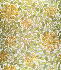 &39;金银花&39;设计，1883年 作者 威廉·莫里斯