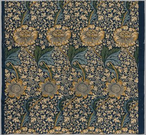 Kennet，摄于1920年。 作者 威廉·莫里斯