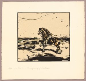 Das Shire Horse 作者 威廉·尼科尔森
