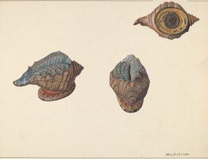 壳出银行，约1938年。 作者 威廉·O·弗莱彻