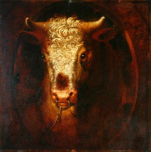 Bull&39;s Head（木板上的油）