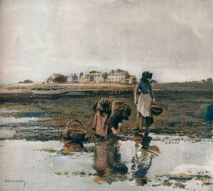 贻贝采摘，c1908