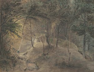 来自Echo的Springhouse的观点，c.1808（编织纸上的水彩和墨水）