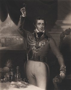 威灵顿公爵，1828年。