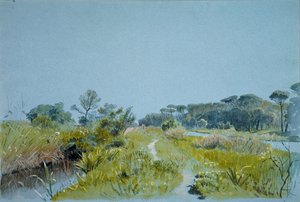 卡斯特·富萨诺（Castel Fusano） 1885年。 作者 威廉·斯坦利·哈瑟尔汀
