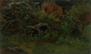 来自《自然》的研究。 作者 威廉·斯坦利·哈瑟尔汀