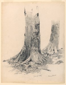 素描，树干，达姆施塔特，1867 年 6 月 27 日 作者 威廉·特罗斯特·理查兹