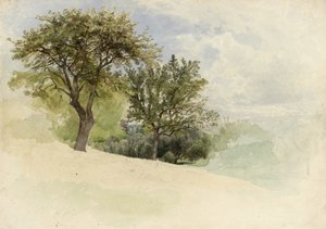 在1880年至1885年的山坡上的树木景观（wc，石墨和奶油厚纸上的白色水粉触摸） 作者 威廉·特罗斯特·理查兹