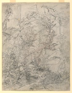 树叶研究 作者 威廉·特罗斯特·理查兹