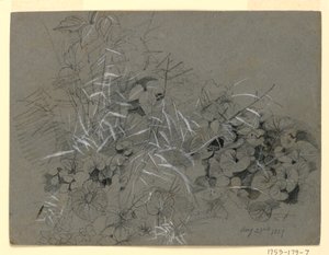 研究紫罗兰的叶子和草 作者 威廉·特罗斯特·理查兹